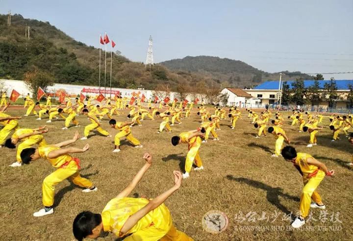 聪明的家长都爱送孩子学习武术，因为.....