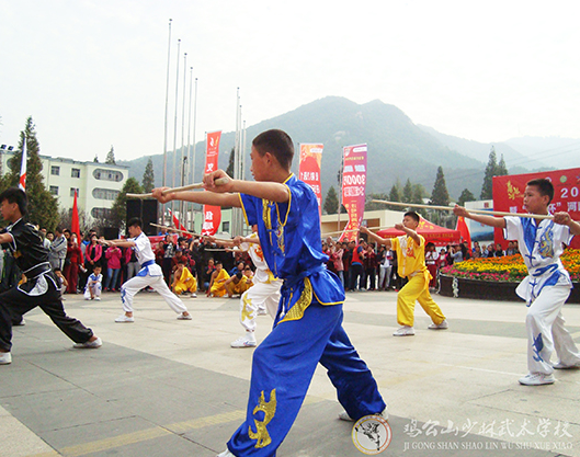 武术电影明星 曾经的全国武术冠军