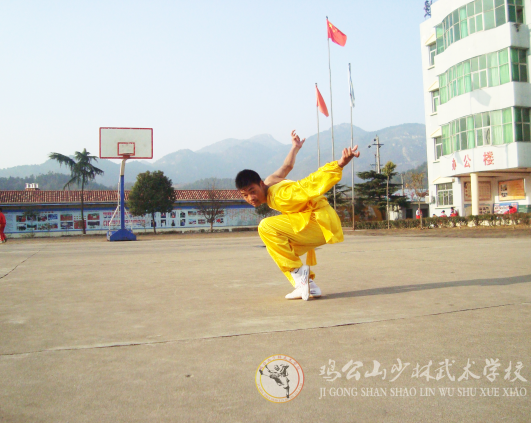 学习武术对各类人有什么好处 这个说的很全